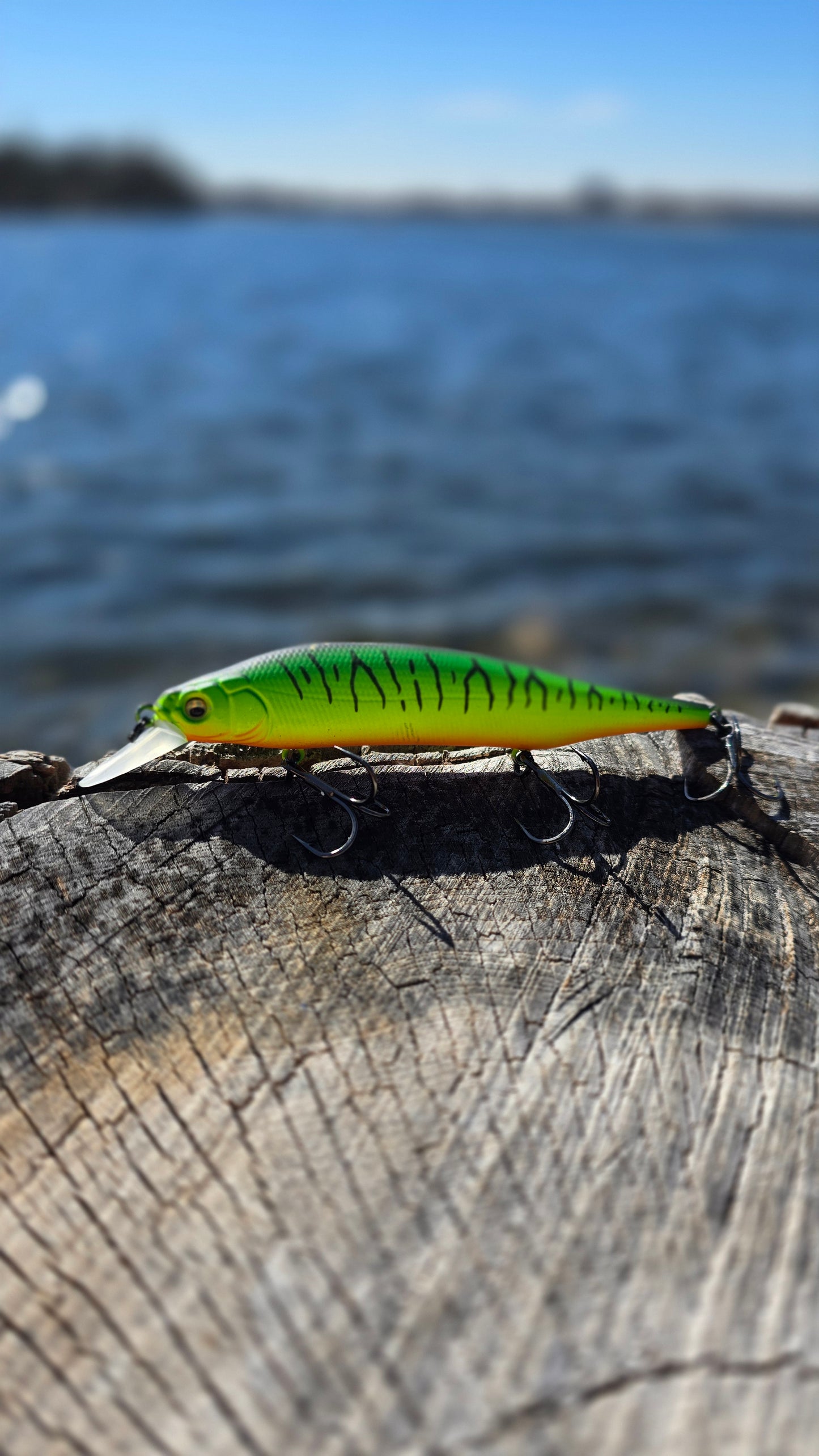 Meredith ITO Shiner- 4.5 Inch