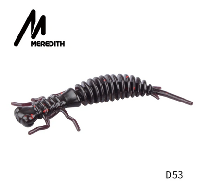 Meredith Larva Hatch